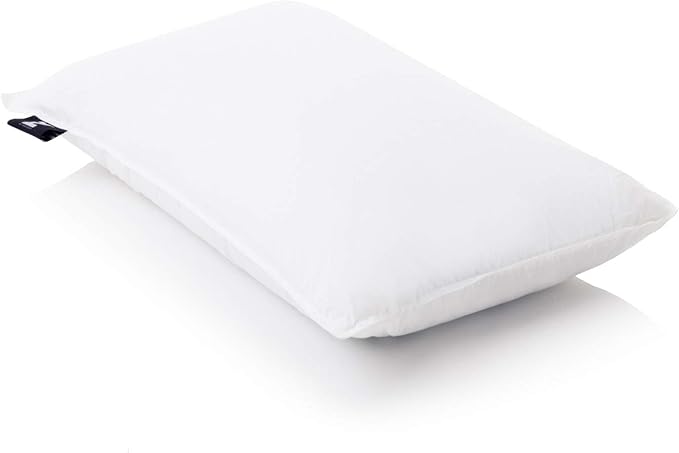 Z Gelled Microfiber Bed Pillow - Queen