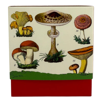 NEW- Cavallini Vintage Mug Ceramic Mug Mushroom Design 14 fl. oz. Coffee Cup